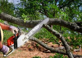 Lawn Watering Services in Pomeroy, OH